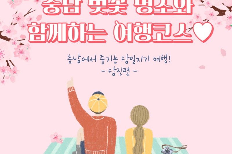 충남 벚꽃 명소와 함께하는 여행코스 – 충남에서 즐기는 당일치기 여행 당진편